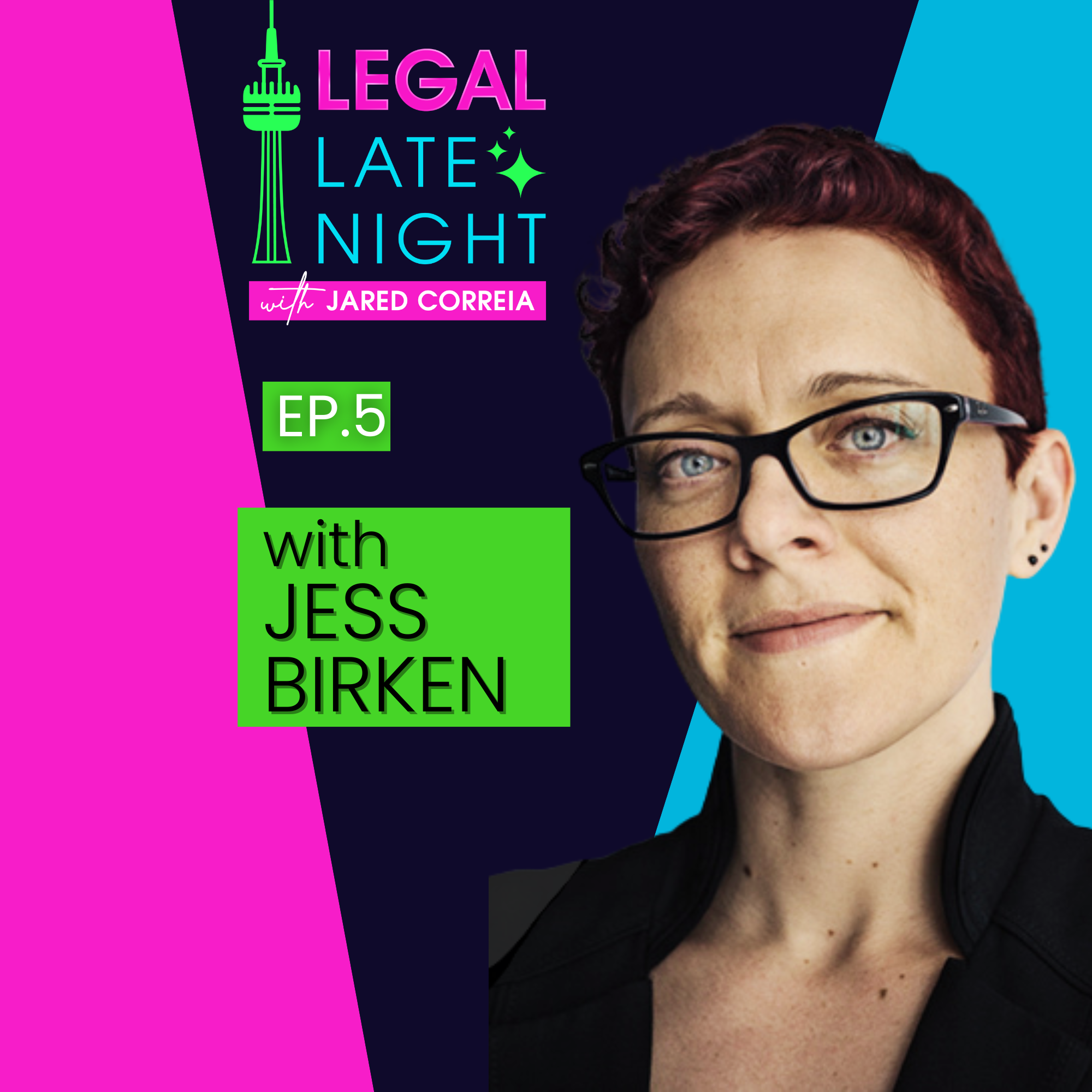 Jessica Birken, Lawyer for Nonprofits